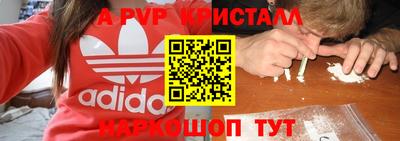 спайс Берёзовский