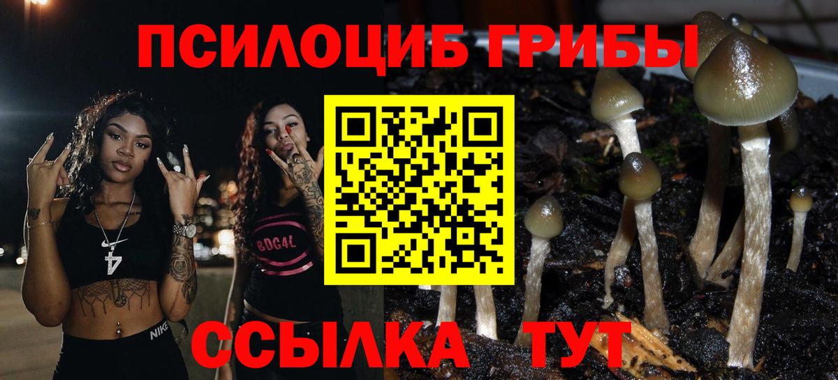 Галлюциногенные грибы MAGIC MUSHROOMS Кириши